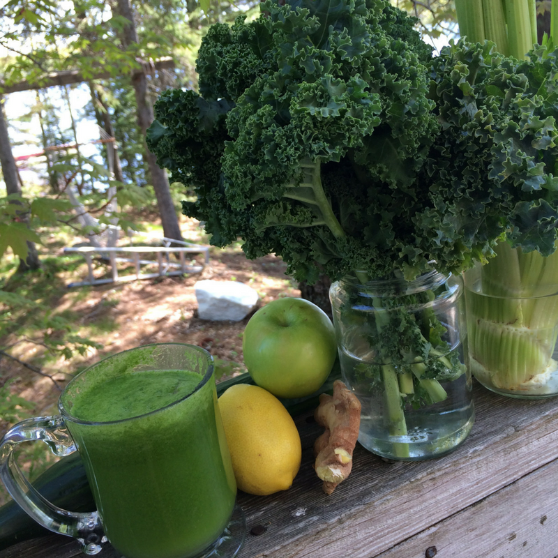 Cam's Kids Tips and Tools The Power of Juicing on Stress and Anxiety