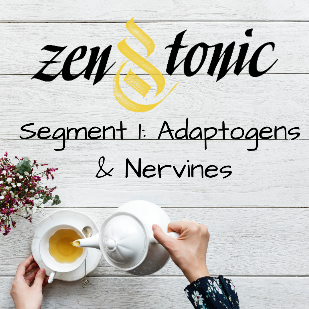 Introduction to Adaptogens and Nervines