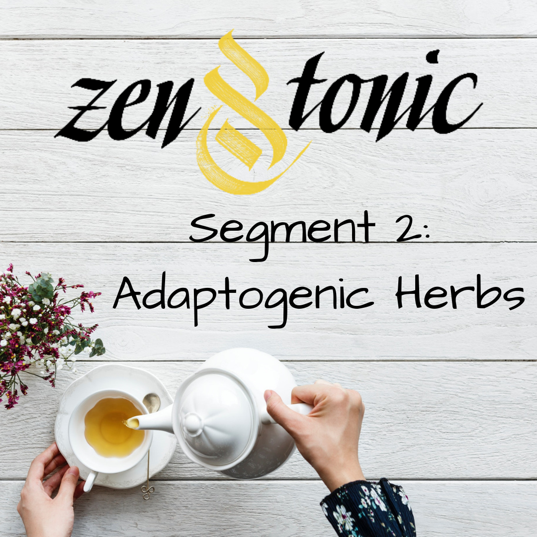 A Detailed Look at Adaptogenic Herbs