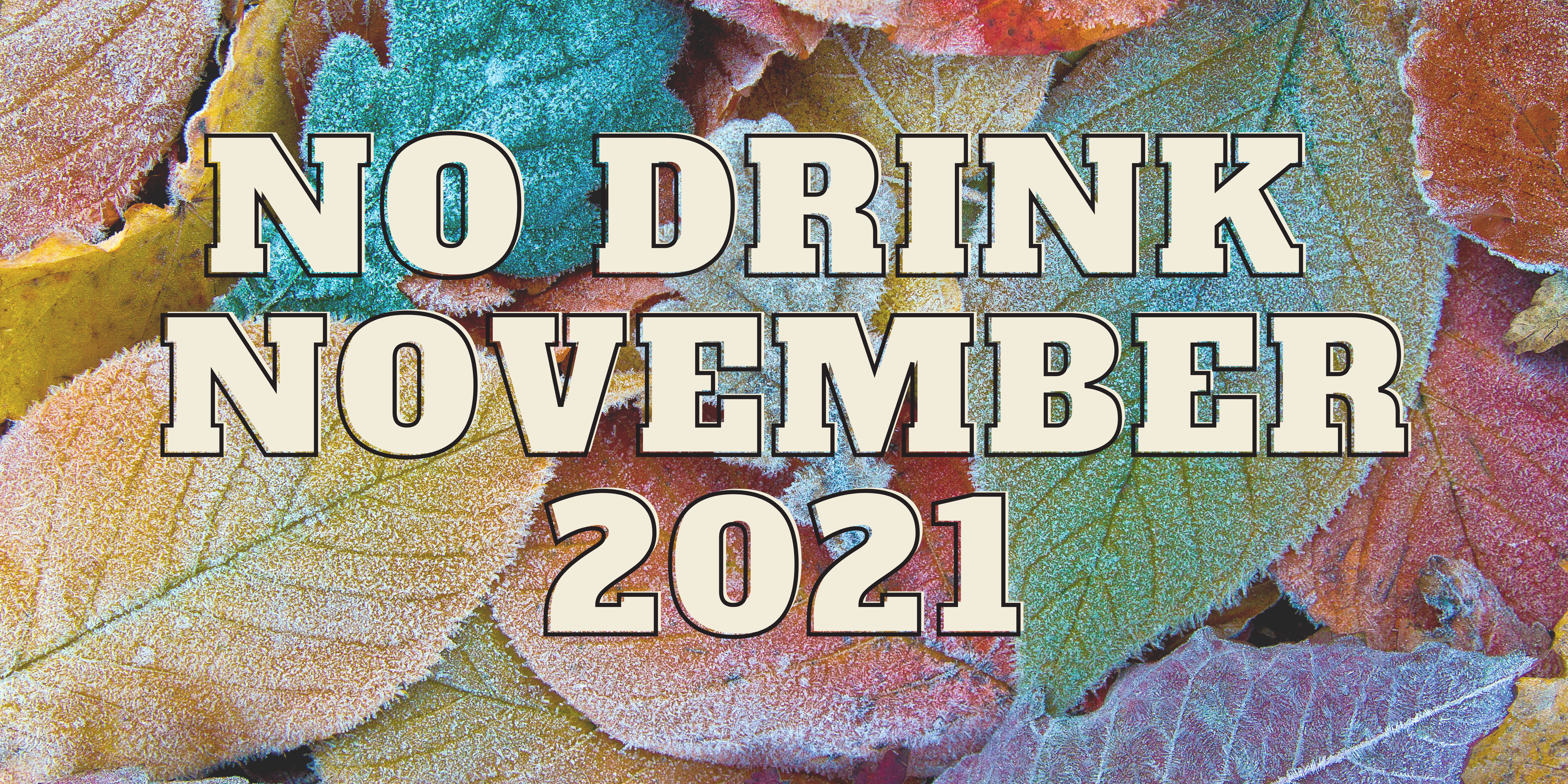The words "No Drink November 2021" written in blocky white letters overtop of a background of frosted multi-colour fall leaves.